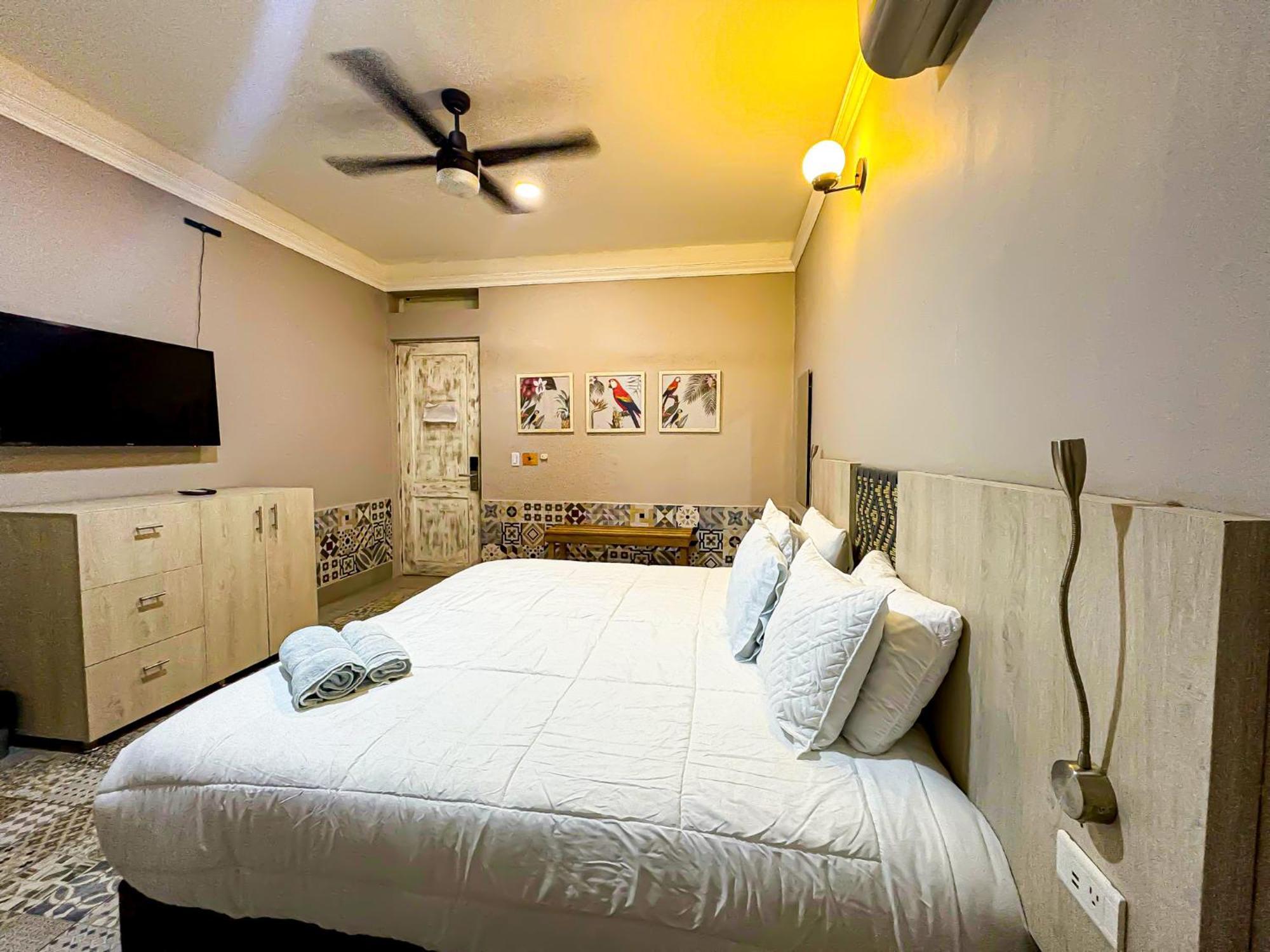Casa Avelina Boutique Hostel - Santa Marta (Magdalena) — Photos 2